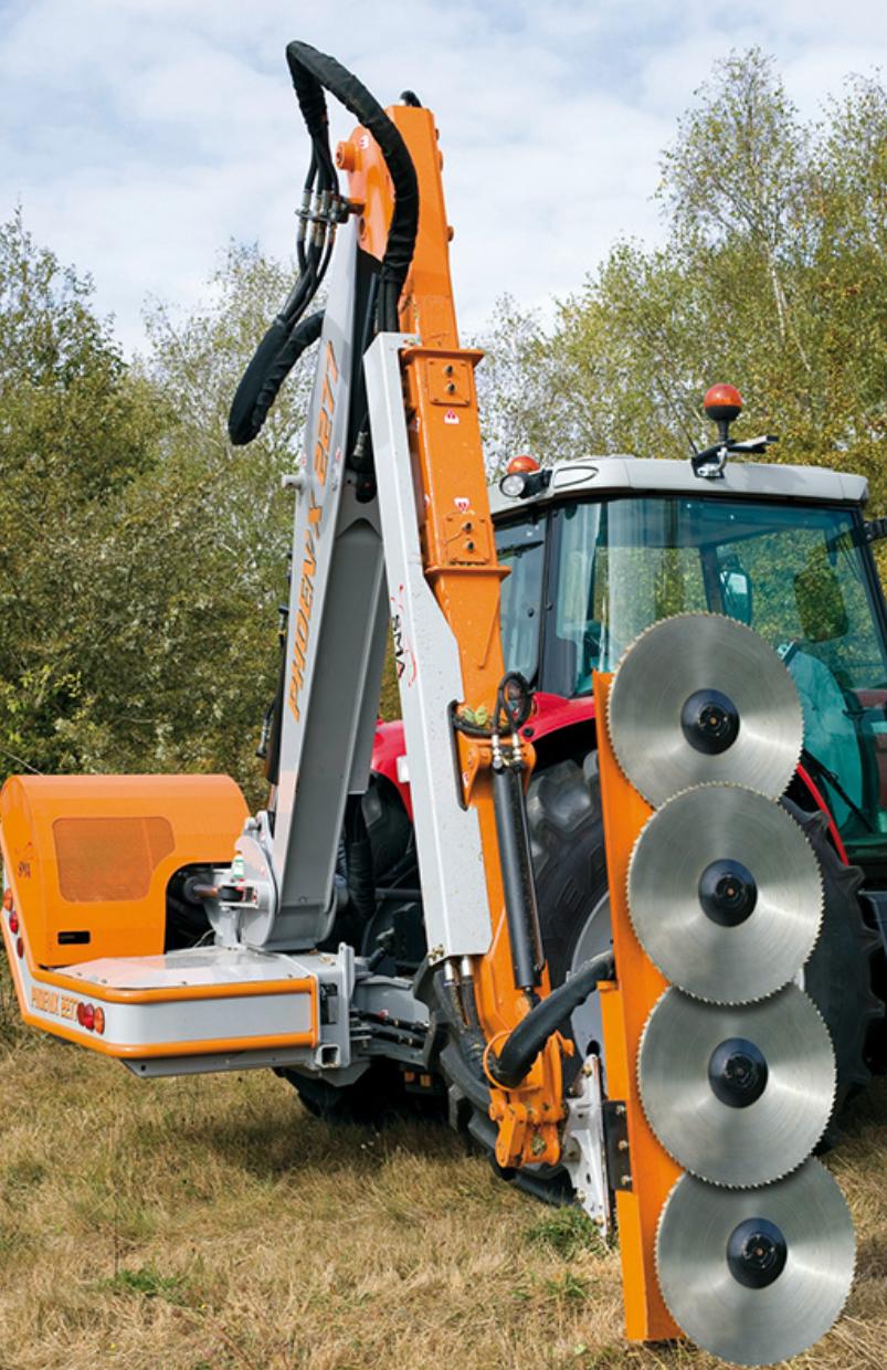 Taille au lamier dans le Jura — SAS POLYVIER
